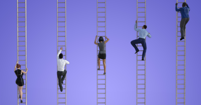 Career Development Ladders